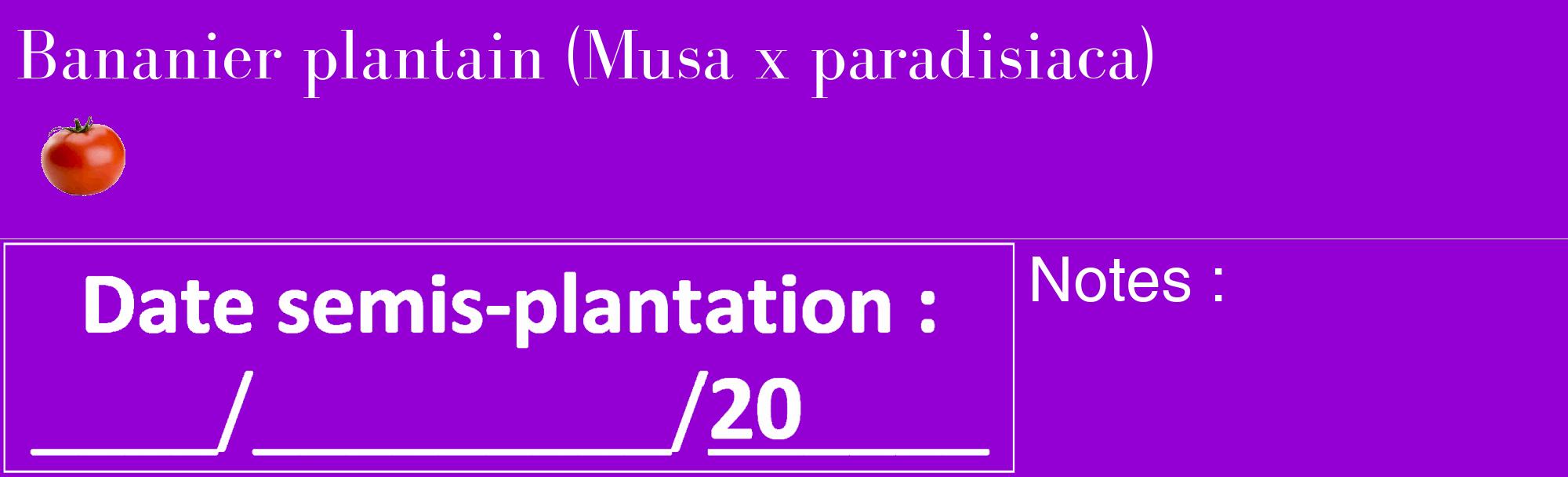 Étiquette de : Musa x paradisiaca - format c - style blanche48_basique_basiquebod avec comestibilité simplifiée