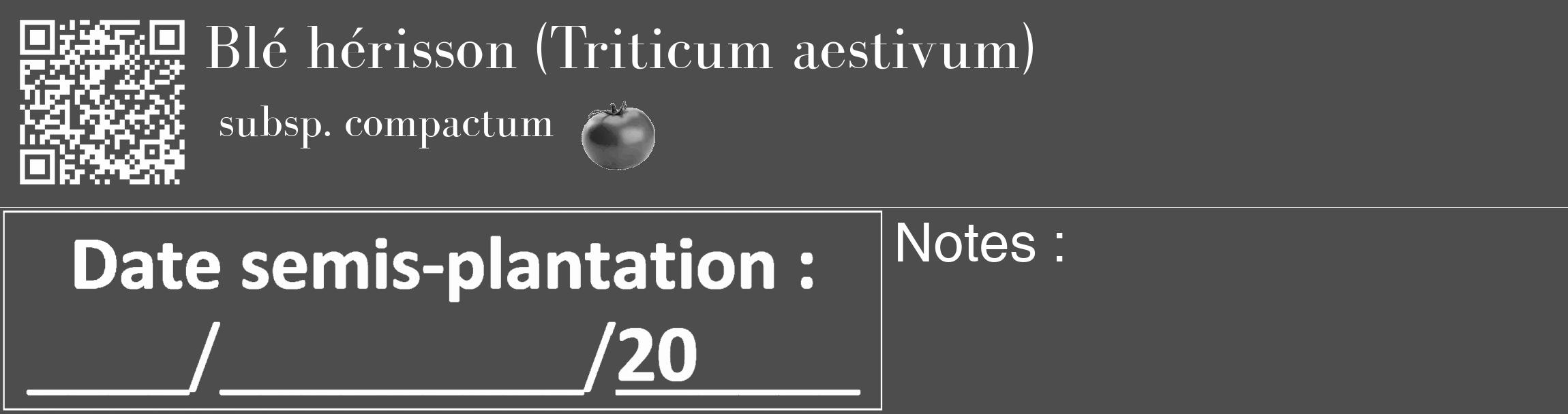 Étiquette de : Triticum aestivum subsp. compactum - format c - style blanche28_basique_basiquebod avec qrcode et comestibilité simplifiée