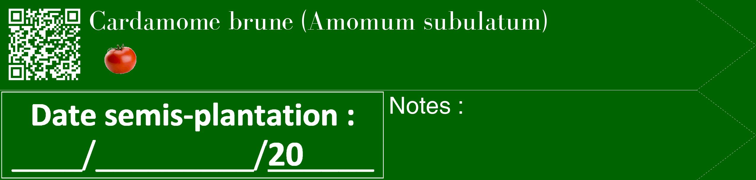Étiquette de : Amomum subulatum - format c - style blanche8_simple_simplebod avec qrcode et comestibilité simplifiée