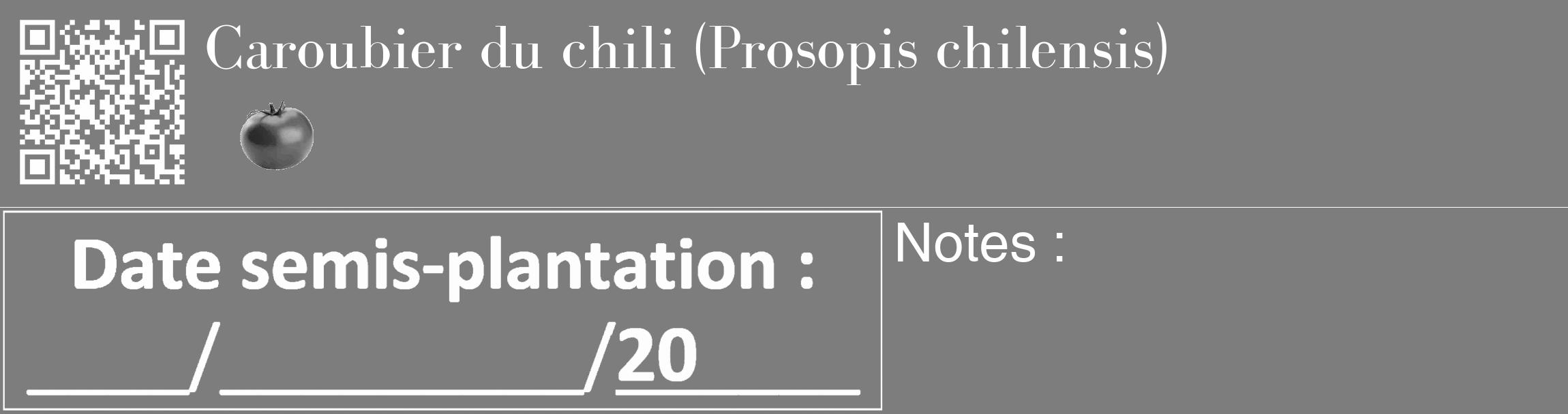Étiquette de : Prosopis chilensis - format c - style blanche35_basique_basiquebod avec qrcode et comestibilité simplifiée