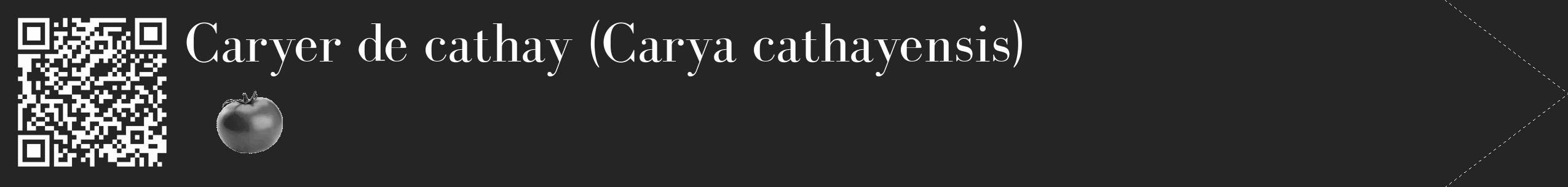 Étiquette de : Carya cathayensis - format c - style blanche47_simple_simplebod avec qrcode et comestibilité simplifiée