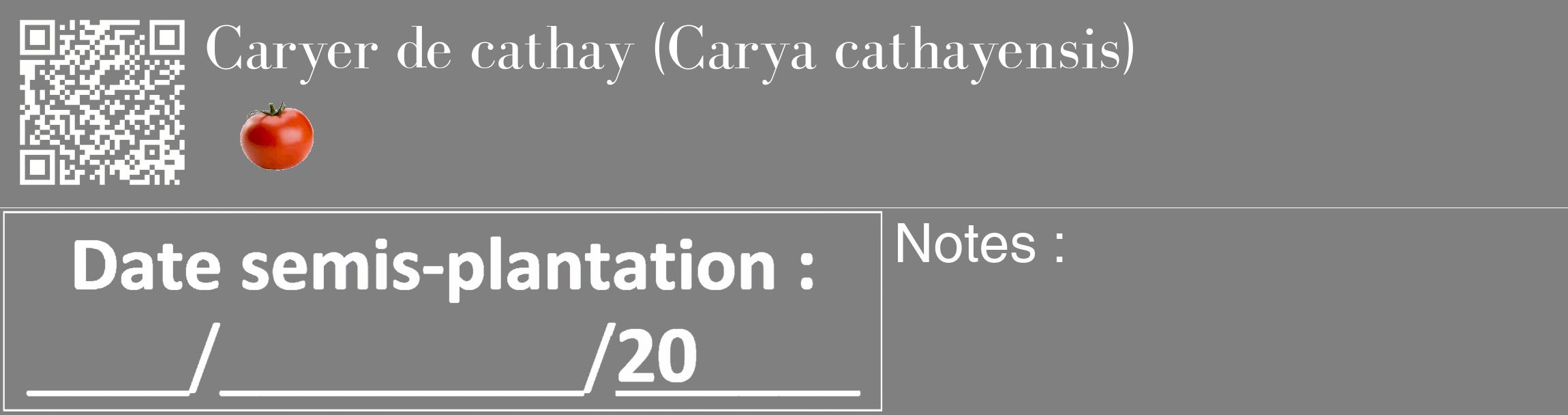 Étiquette de : Carya cathayensis - format c - style blanche57_basique_basiquebod avec qrcode et comestibilité simplifiée
