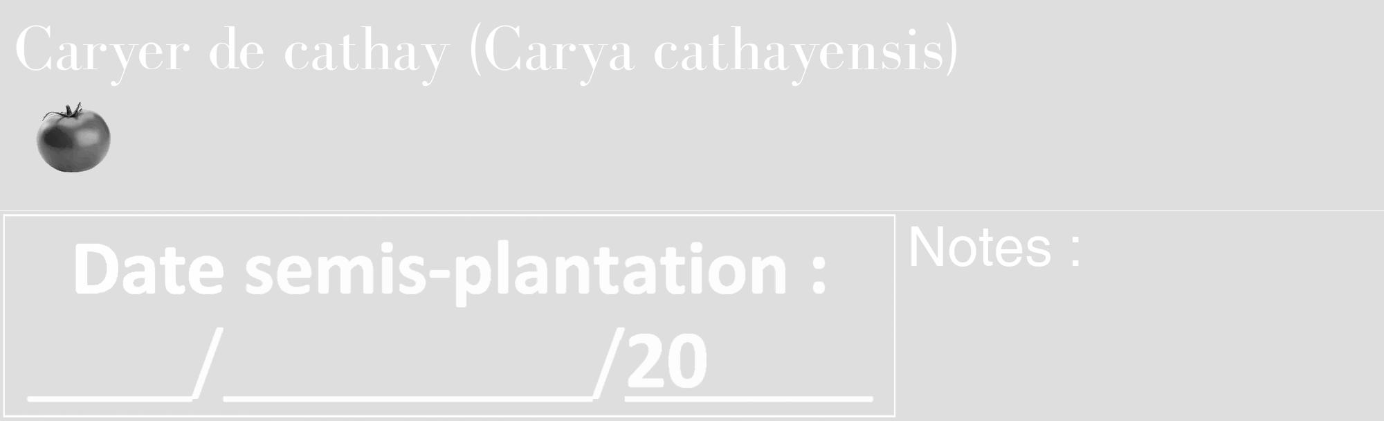 Étiquette de : Carya cathayensis - format c - style blanche20_basique_basiquebod avec comestibilité simplifiée