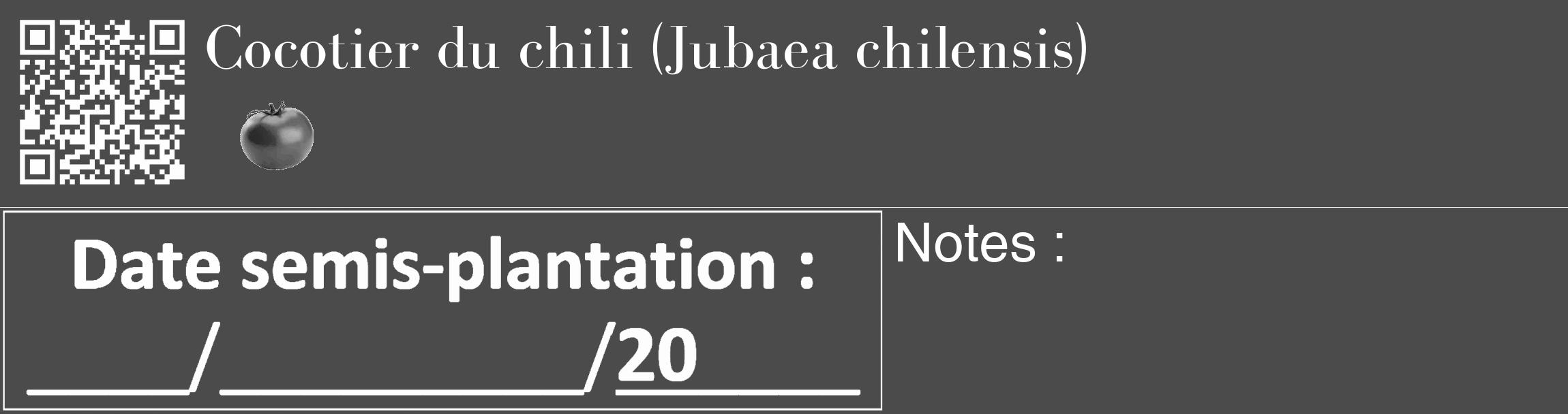 Étiquette de : Jubaea chilensis - format c - style blanche9_basique_basiquebod avec qrcode et comestibilité simplifiée