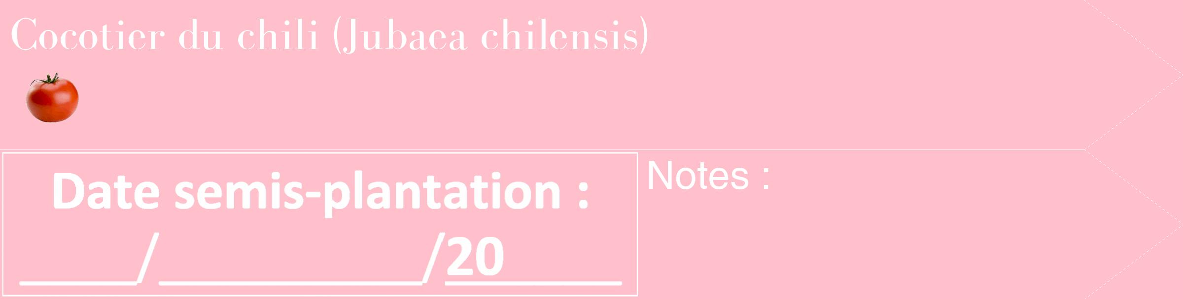 Étiquette de : Jubaea chilensis - format c - style blanche40_simple_simplebod avec comestibilité simplifiée