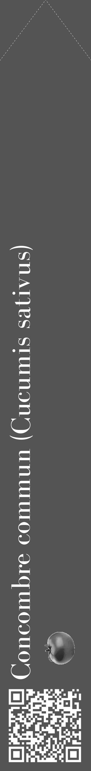 Étiquette de : Cucumis sativus - format c - style blanche30_simple_simplebod avec qrcode et comestibilité simplifiée - position verticale