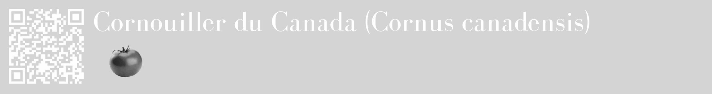 Étiquette de : Cornus canadensis - format c - style blanche40_basique_basiquebod avec qrcode et comestibilité simplifiée