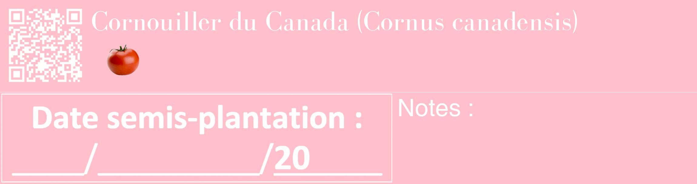 Étiquette de : Cornus canadensis - format c - style blanche40_basique_basiquebod avec qrcode et comestibilité simplifiée