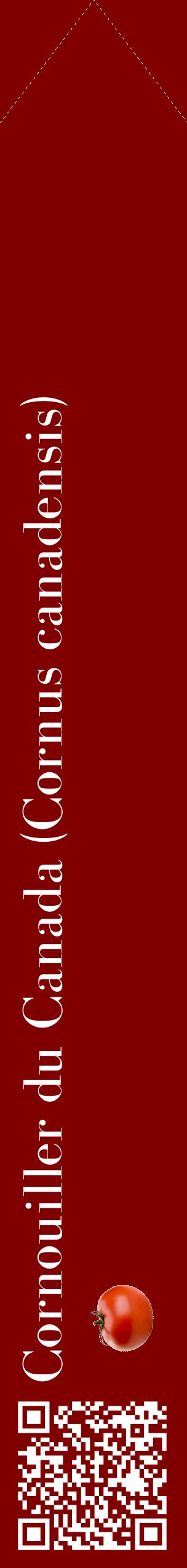 Étiquette de : Cornus canadensis - format c - style blanche29_simplebod avec qrcode et comestibilité simplifiée