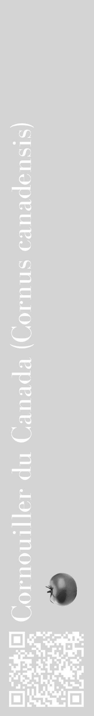Étiquette de : Cornus canadensis - format c - style blanche40_basique_basiquebod avec qrcode et comestibilité simplifiée - position verticale