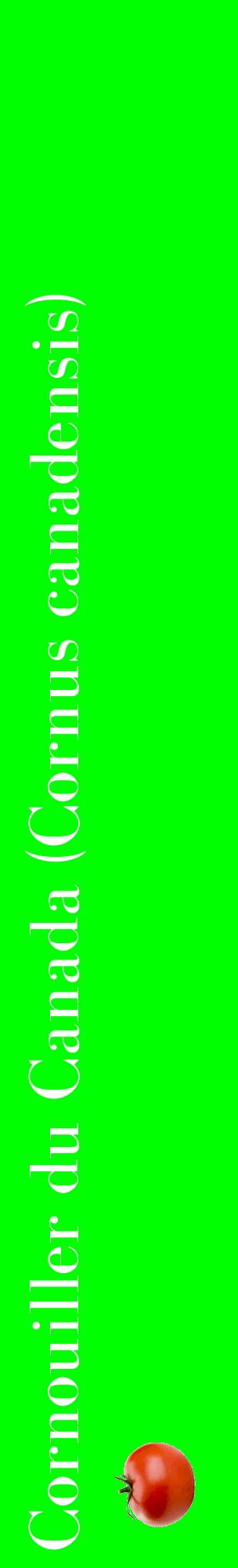 Étiquette de : Cornus canadensis - format c - style blanche16_basiquebod avec comestibilité simplifiée