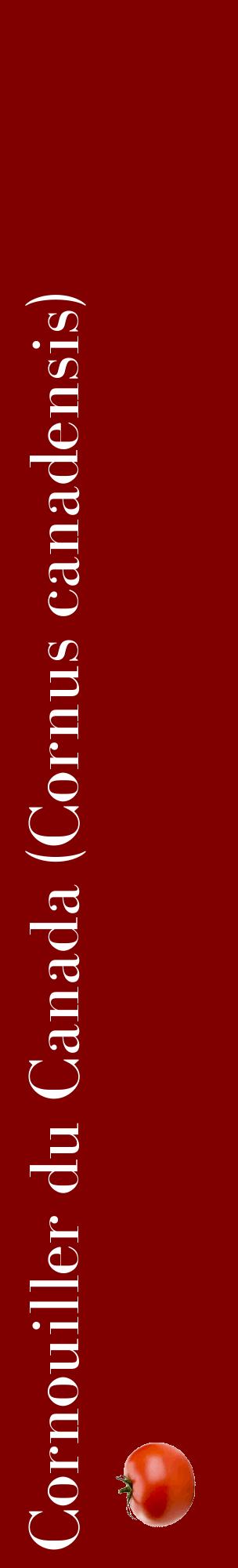 Étiquette de : Cornus canadensis - format c - style blanche29_basiquebod avec comestibilité simplifiée