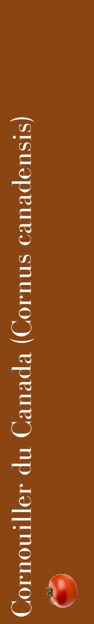 Étiquette de : Cornus canadensis - format c - style blanche30_basiquebod avec comestibilité simplifiée