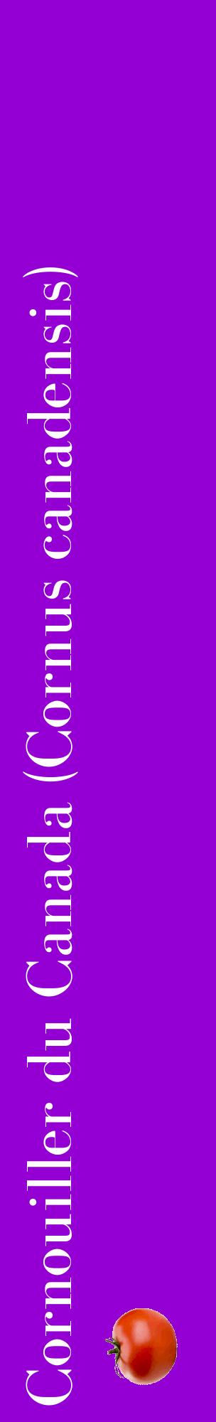 Étiquette de : Cornus canadensis - format c - style blanche48_basiquebod avec comestibilité simplifiée