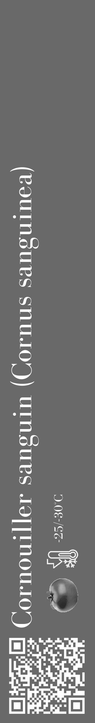Étiquette de : Cornus sanguinea - format c - style blanche11_basique_basiquebod avec qrcode et comestibilité simplifiée - position verticale