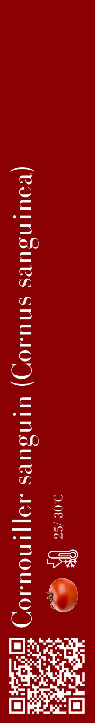 Étiquette de : Cornus sanguinea - format c - style blanche34_basique_basiquebod avec qrcode et comestibilité simplifiée - position verticale