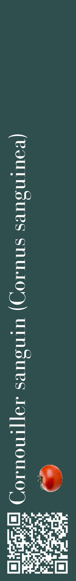 Étiquette de : Cornus sanguinea - format c - style blanche58_basiquebod avec qrcode et comestibilité simplifiée