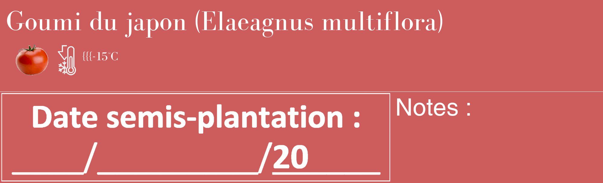 Étiquette de : Elaeagnus multiflora - format c - style blanche35_basique_basiquebod avec comestibilité simplifiée