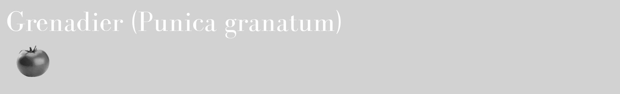 Étiquette de : Punica granatum - format c - style blanche14_basique_basiquebod avec comestibilité simplifiée