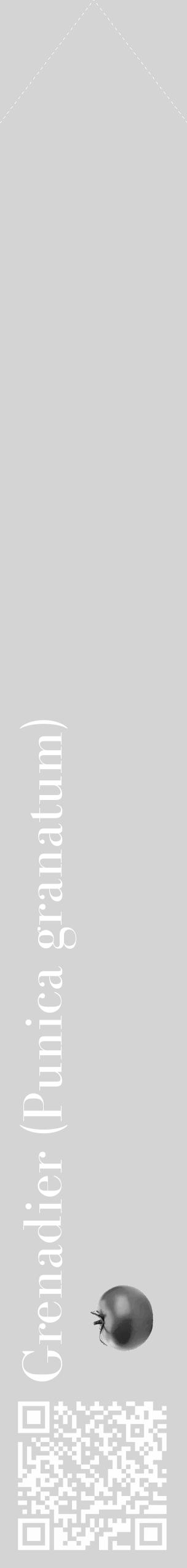 Étiquette de : Punica granatum - format c - style blanche40_simple_simplebod avec qrcode et comestibilité simplifiée - position verticale