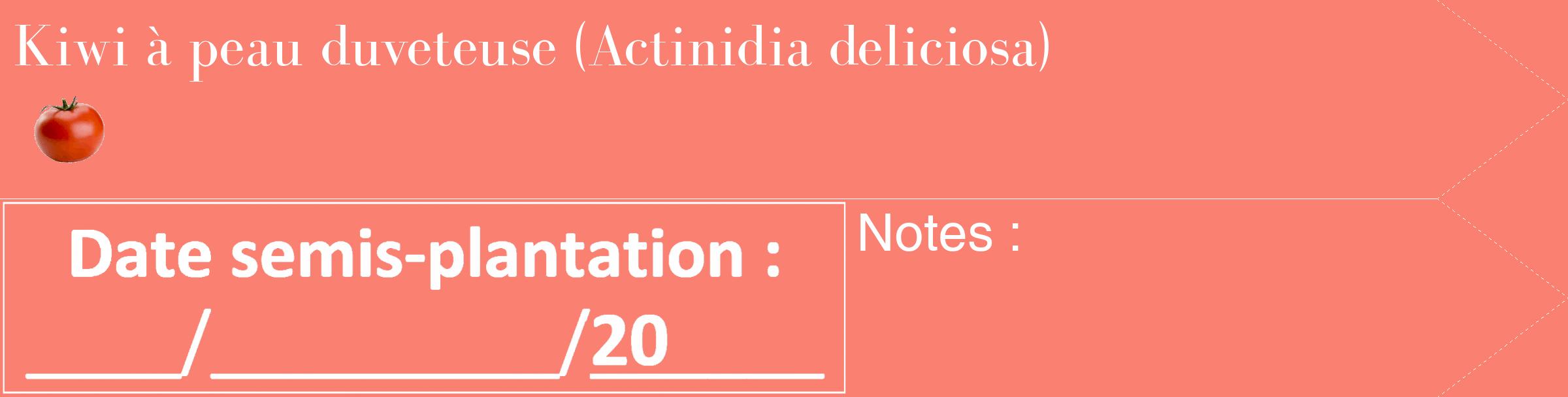 Étiquette de : Actinidia deliciosa - format c - style blanche38_simple_simplebod avec comestibilité simplifiée