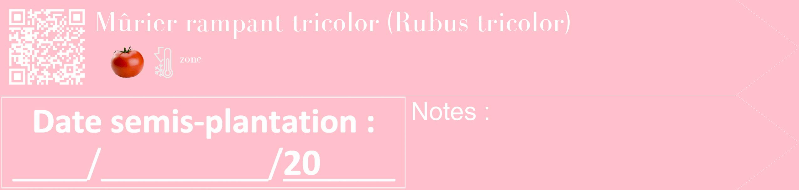 Étiquette de : Rubus tricolor - format c - style blanche40_simple_simplebod avec qrcode et comestibilité simplifiée