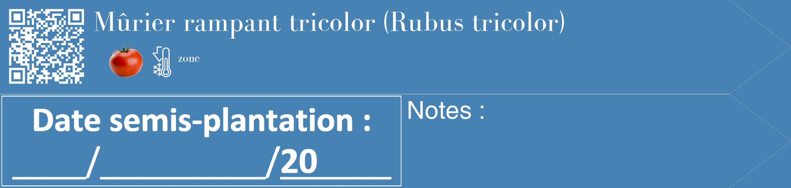 Étiquette de : Rubus tricolor - format c - style blanche5_simple_simplebod avec qrcode et comestibilité simplifiée