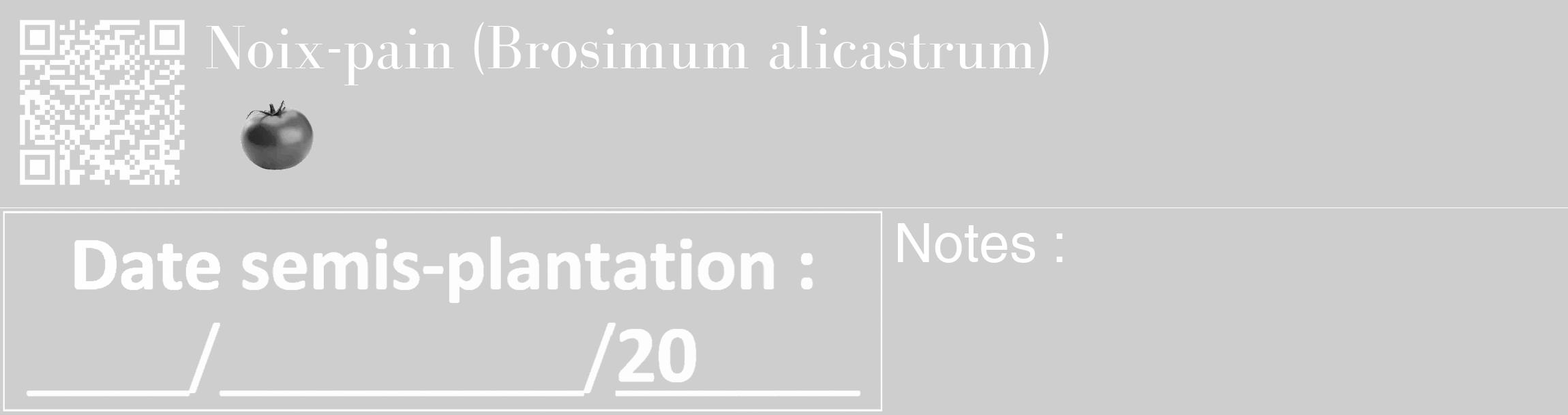 Étiquette de : Brosimum alicastrum - format c - style blanche17_basique_basiquebod avec qrcode et comestibilité simplifiée