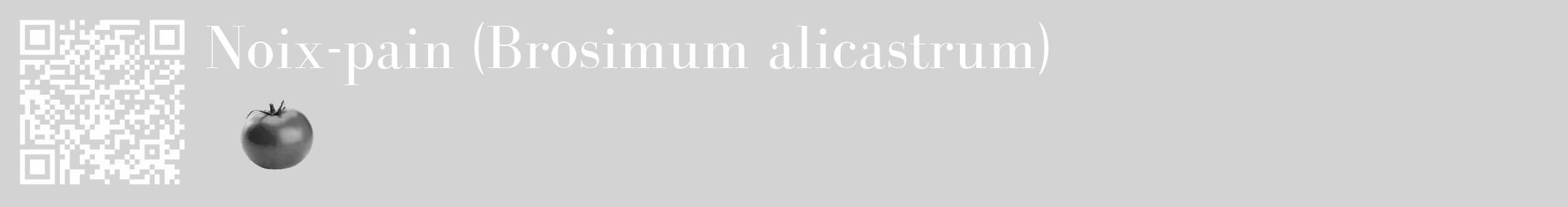 Étiquette de : Brosimum alicastrum - format c - style blanche56_basique_basiquebod avec qrcode et comestibilité simplifiée