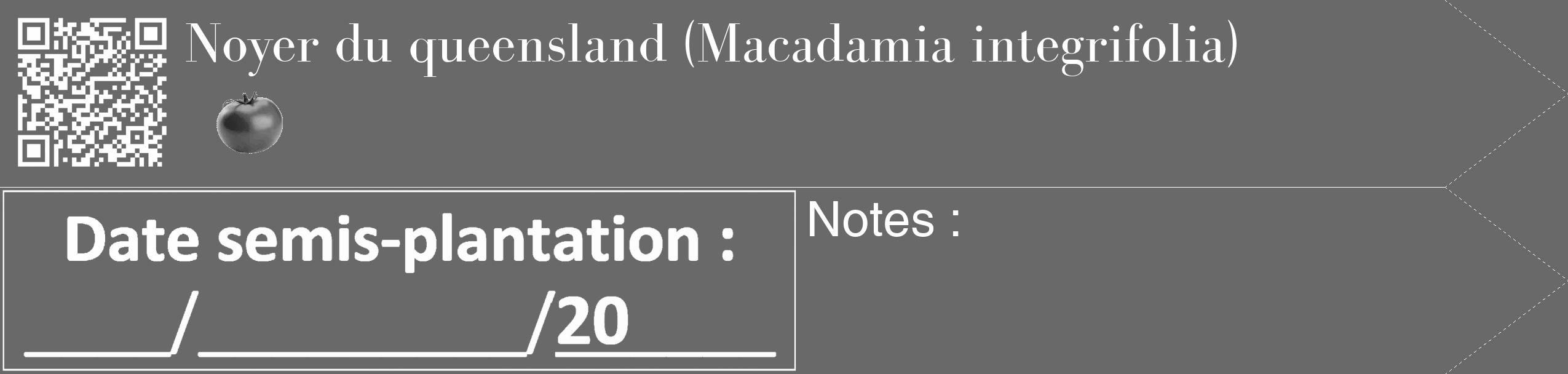 Étiquette de : Macadamia integrifolia - format c - style blanche11_simple_simplebod avec qrcode et comestibilité simplifiée