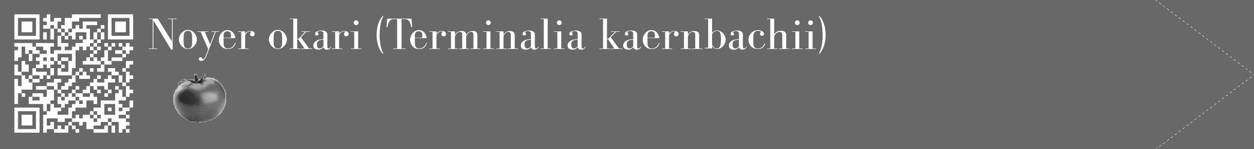 Étiquette de : Terminalia kaernbachii - format c - style blanche43_simple_simplebod avec qrcode et comestibilité simplifiée