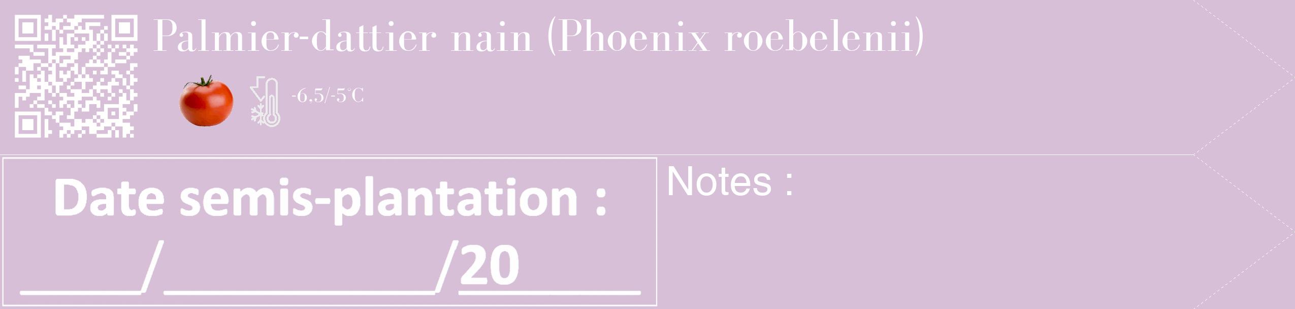 Étiquette de : Phoenix roebelenii - format c - style blanche54_simple_simplebod avec qrcode et comestibilité simplifiée