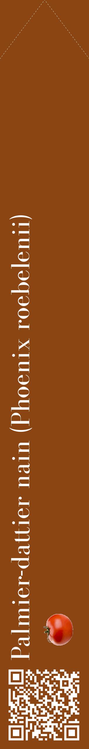 Étiquette de : Phoenix roebelenii - format c - style blanche30_simplebod avec qrcode et comestibilité simplifiée