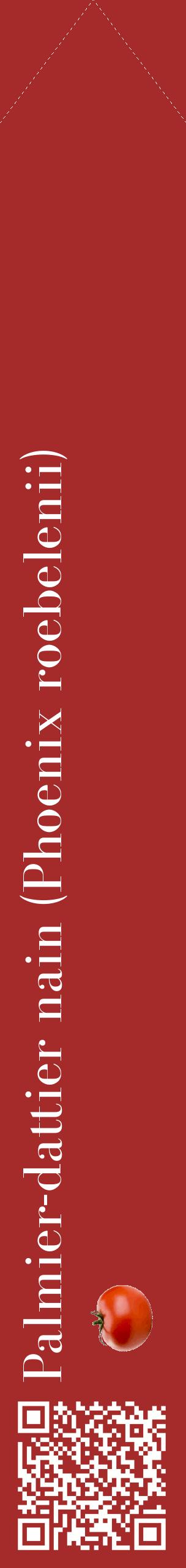 Étiquette de : Phoenix roebelenii - format c - style blanche33_simplebod avec qrcode et comestibilité simplifiée