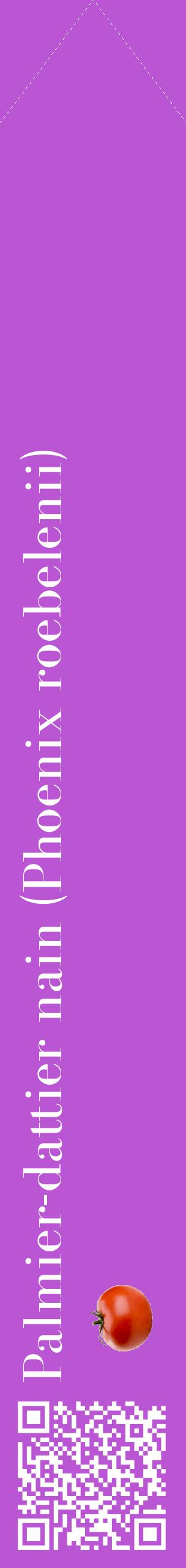 Étiquette de : Phoenix roebelenii - format c - style blanche50_simplebod avec qrcode et comestibilité simplifiée