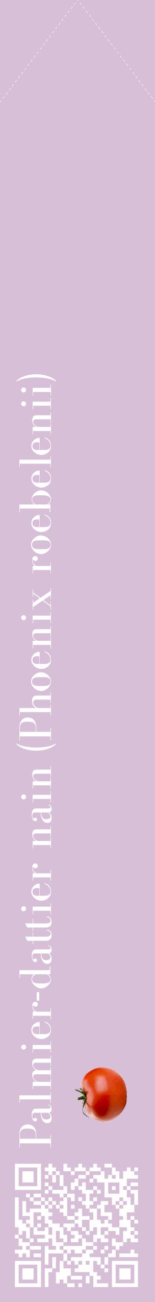 Étiquette de : Phoenix roebelenii - format c - style blanche54_simplebod avec qrcode et comestibilité simplifiée
