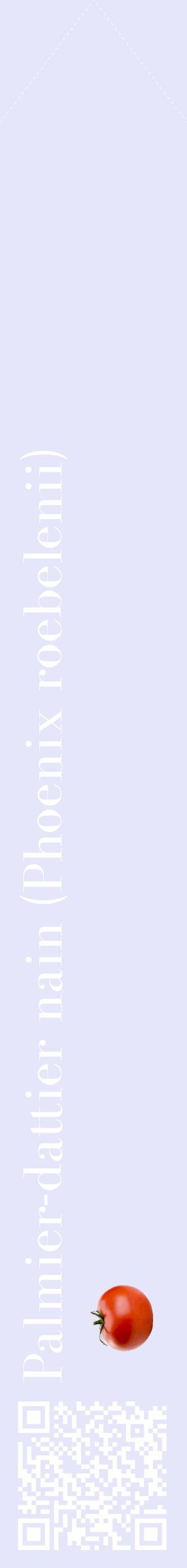 Étiquette de : Phoenix roebelenii - format c - style blanche55_simplebod avec qrcode et comestibilité simplifiée