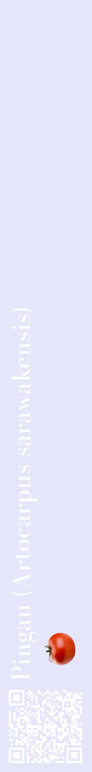 Étiquette de : Artocarpus sarawakensis - format c - style blanche55_simplebod avec qrcode et comestibilité simplifiée