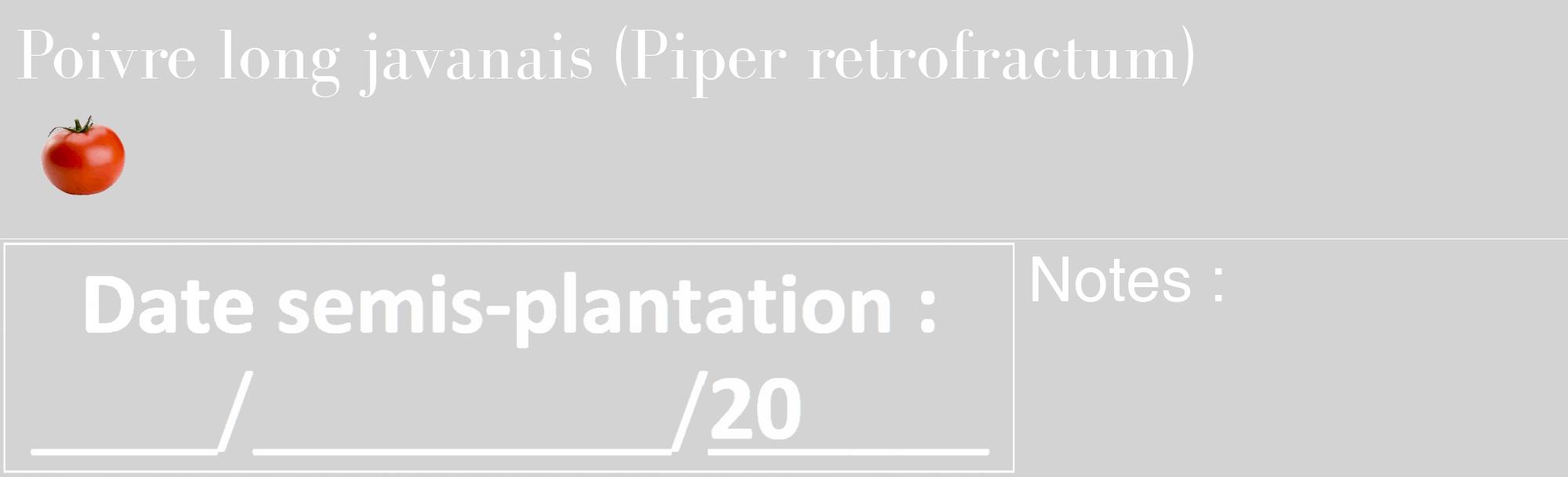 Étiquette de : Piper retrofractum - format c - style blanche56_basique_basiquebod avec comestibilité simplifiée