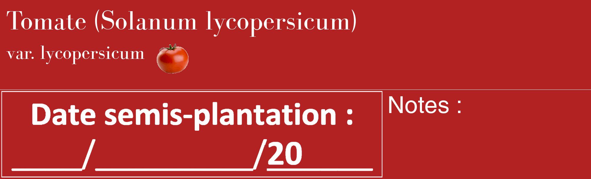 Étiquette de : Solanum lycopersicum var. lycopersicum - format c - style blanche28_basique_basiquebod avec comestibilité simplifiée
