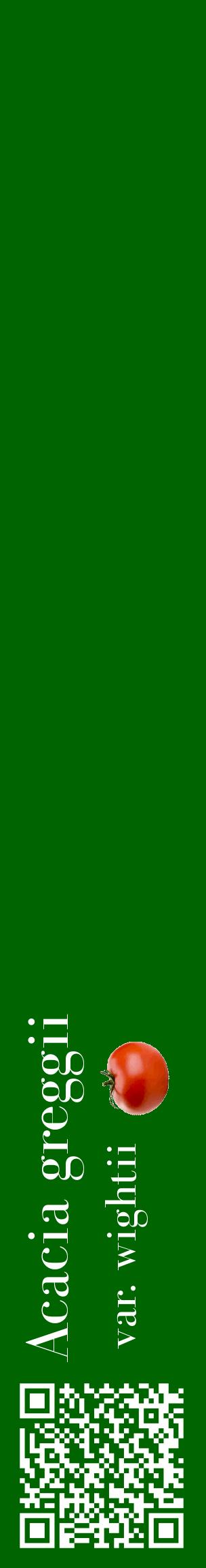 Étiquette de : Acacia greggii var. wightii - format c - style blanche8_basiquebod avec qrcode et comestibilité simplifiée