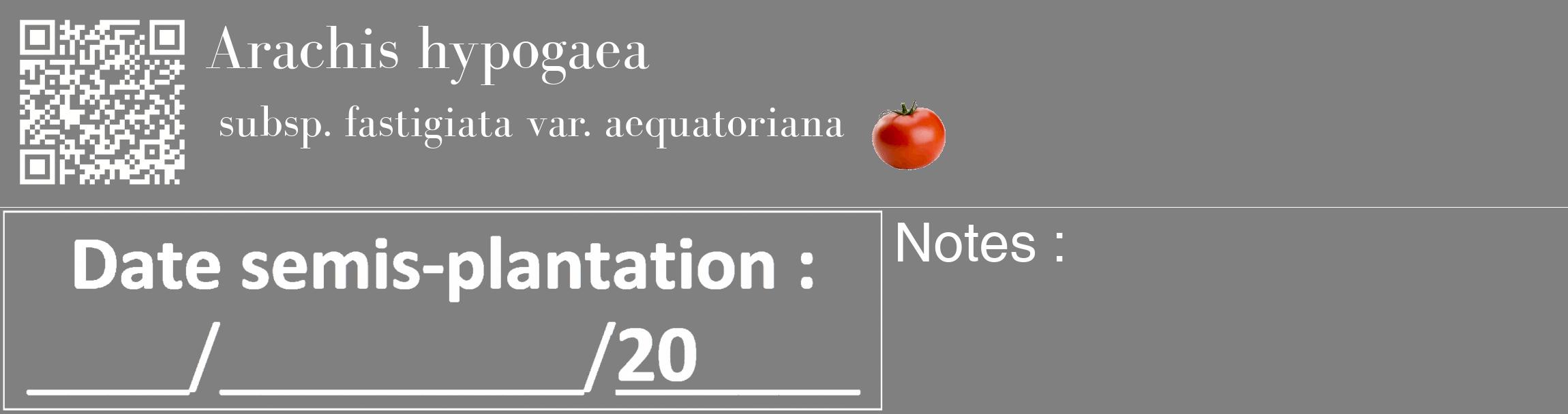 Étiquette de : Arachis hypogaea subsp. fastigiata var. aequatoriana - format c - style blanche57_basique_basiquebod avec qrcode et comestibilité simplifiée