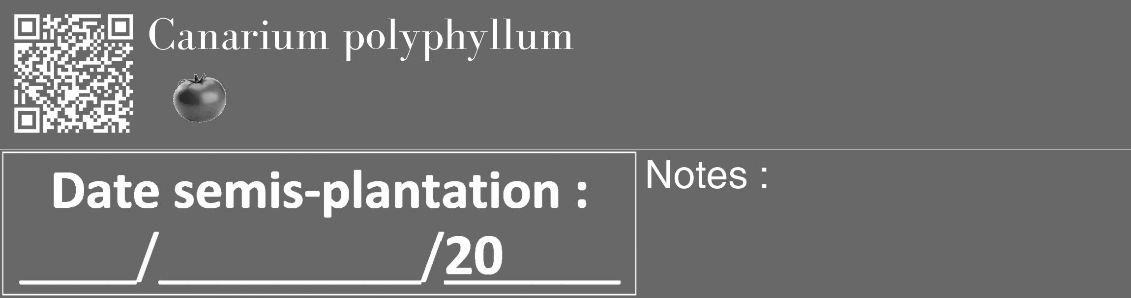 Étiquette de : Canarium polyphyllum - format c - style blanche43_basique_basiquebod avec qrcode et comestibilité simplifiée