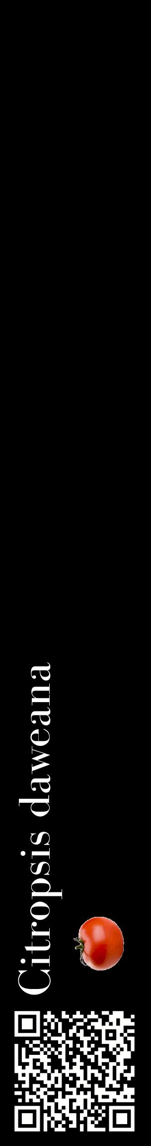 Étiquette de : Citropsis daweana - format c - style blanche59_basiquebod avec qrcode et comestibilité simplifiée