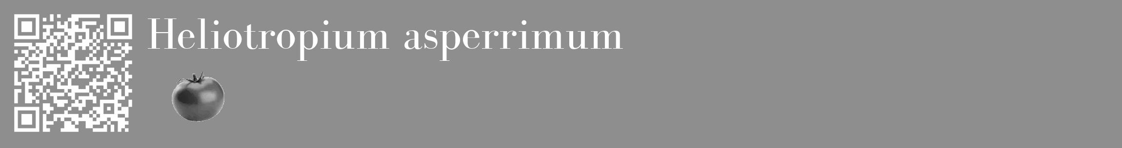Étiquette de : Heliotropium asperrimum - format c - style blanche25_basique_basiquebod avec qrcode et comestibilité simplifiée