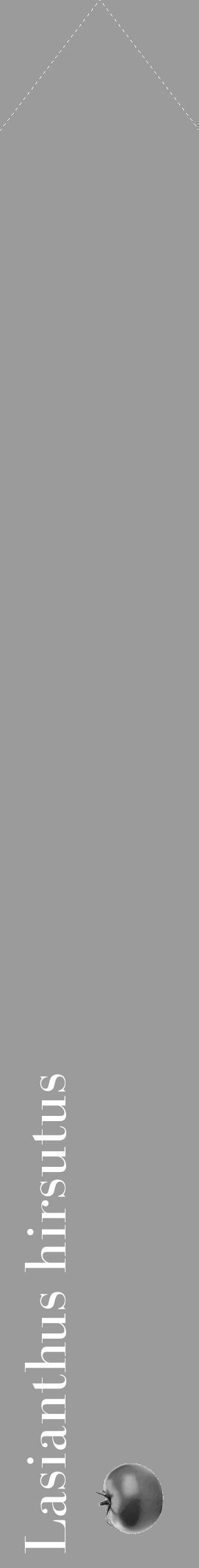 Étiquette de : Lasianthus hirsutus - format c - style blanche52_simple_simplebod avec comestibilité simplifiée - position verticale