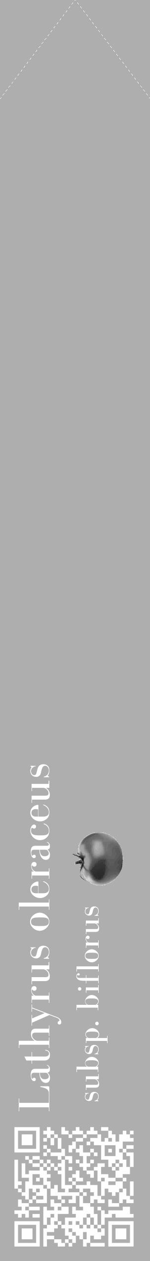 Étiquette de : Lathyrus oleraceus subsp. biflorus - format c - style blanche53_simple_simplebod avec qrcode et comestibilité simplifiée - position verticale