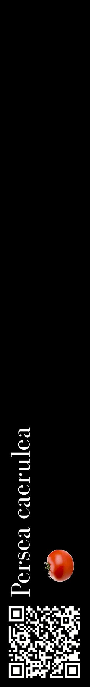 Étiquette de : Persea caerulea - format c - style blanche59_basiquebod avec qrcode et comestibilité simplifiée