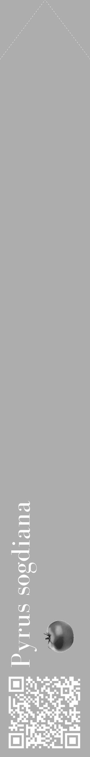Étiquette de : Pyrus sogdiana - format c - style blanche22_simple_simplebod avec qrcode et comestibilité simplifiée - position verticale