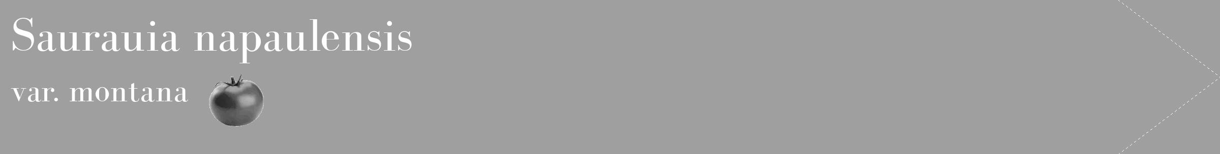 Étiquette de : Saurauia napaulensis var. montana - format c - style blanche24_simple_simplebod avec comestibilité simplifiée